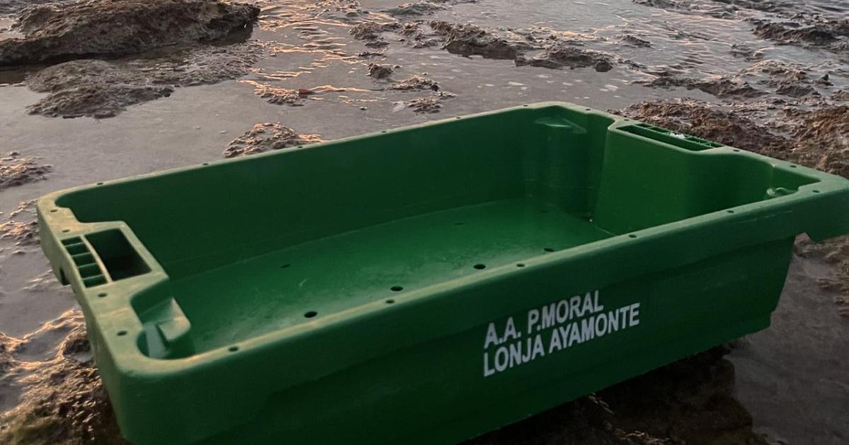 La enfermedad del plástico