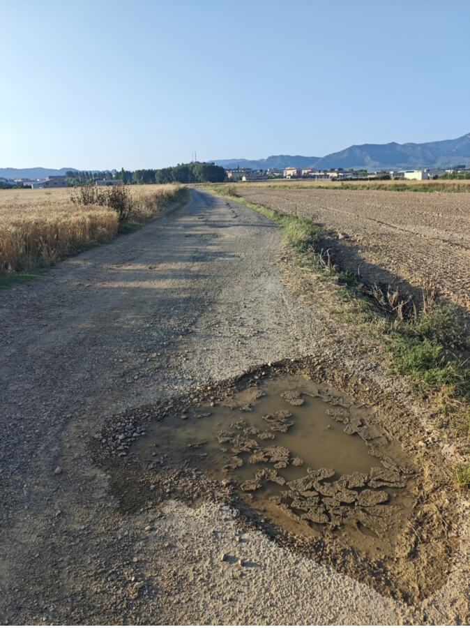 Camino Cuzcurritilla