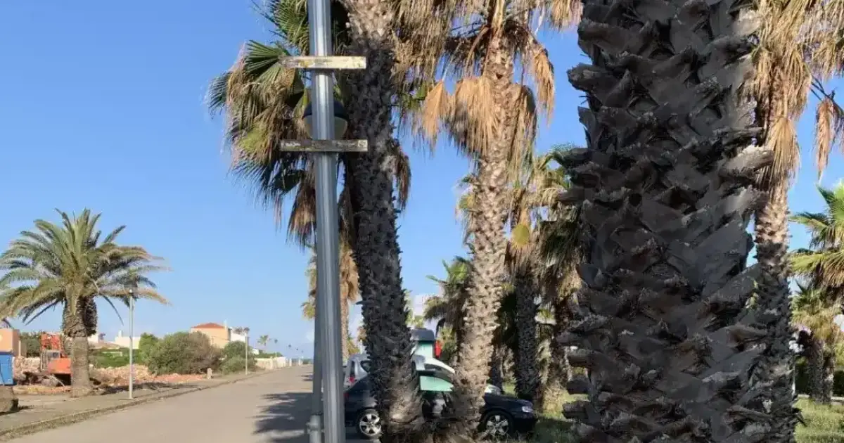 Señalización