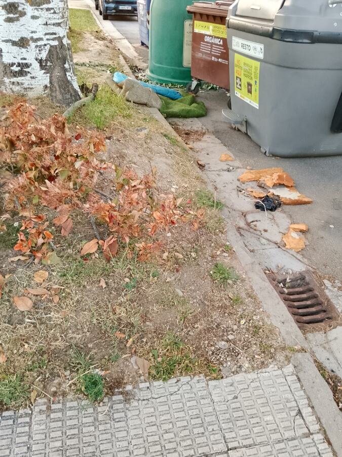 Basura sin recoger