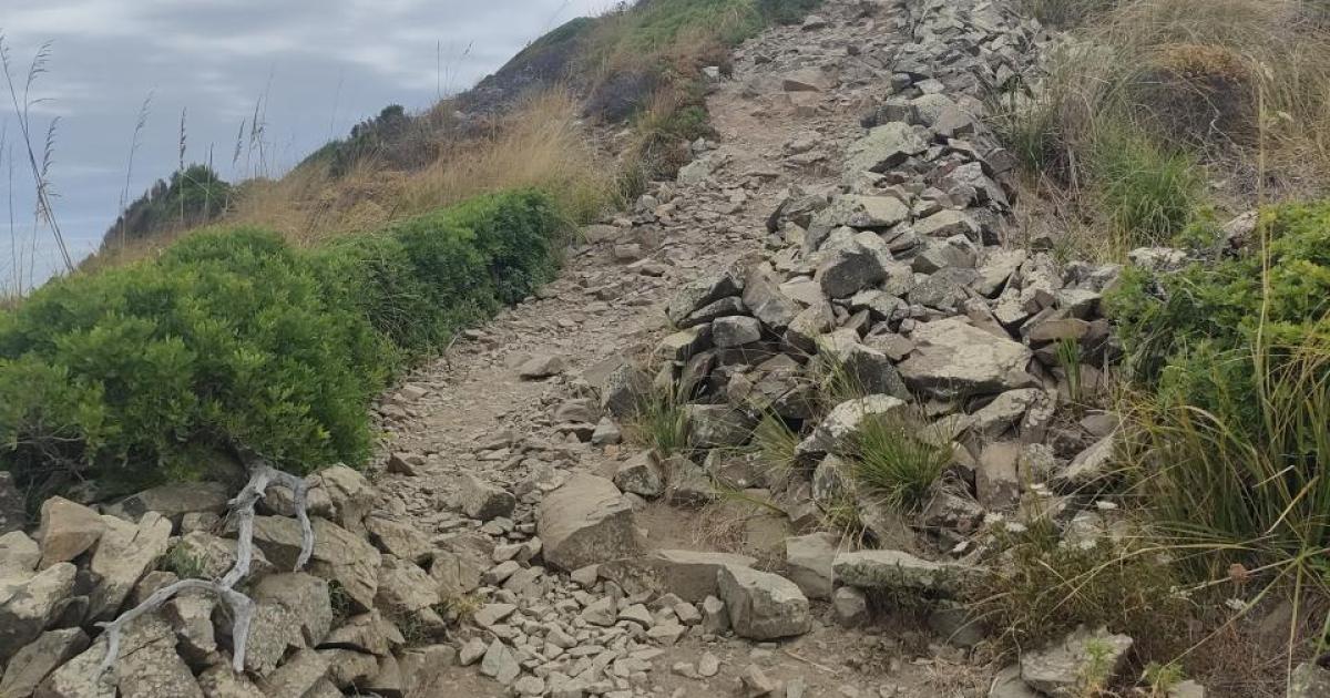 Falta de manteniment a l'etapa 6 del Camí de Cavalls