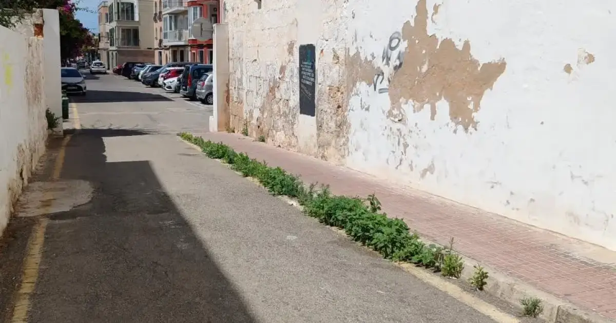 Jardines nuevos en Ciutadella