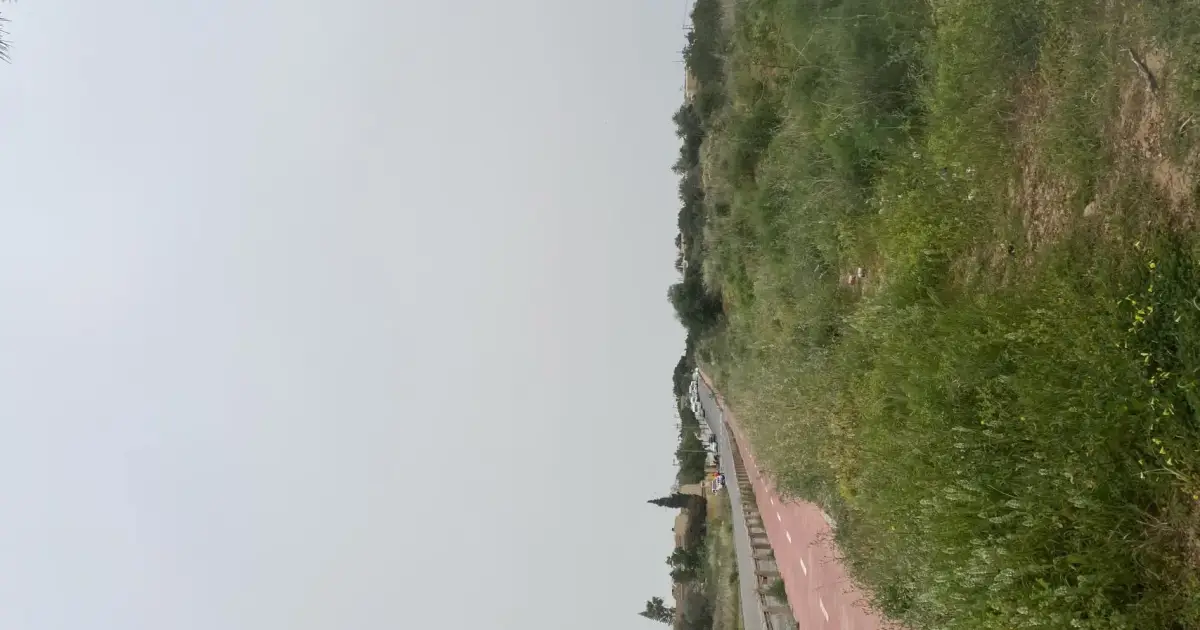 Carril bici abandonado