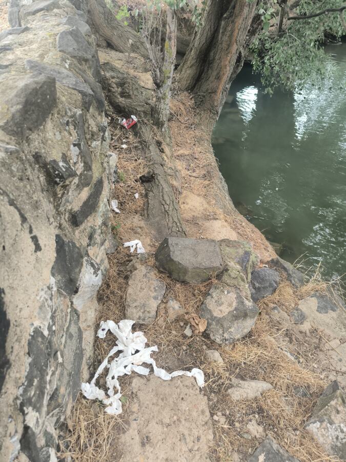 Los patos está asqueroso