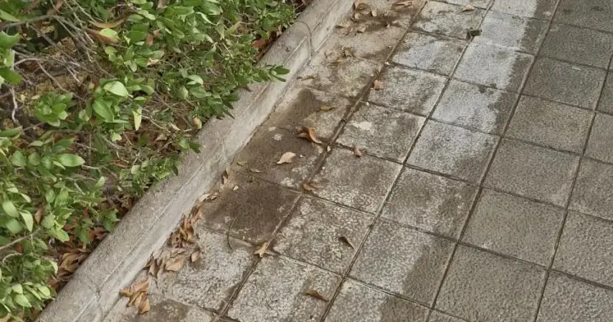 ¿Limpieza de aceras?