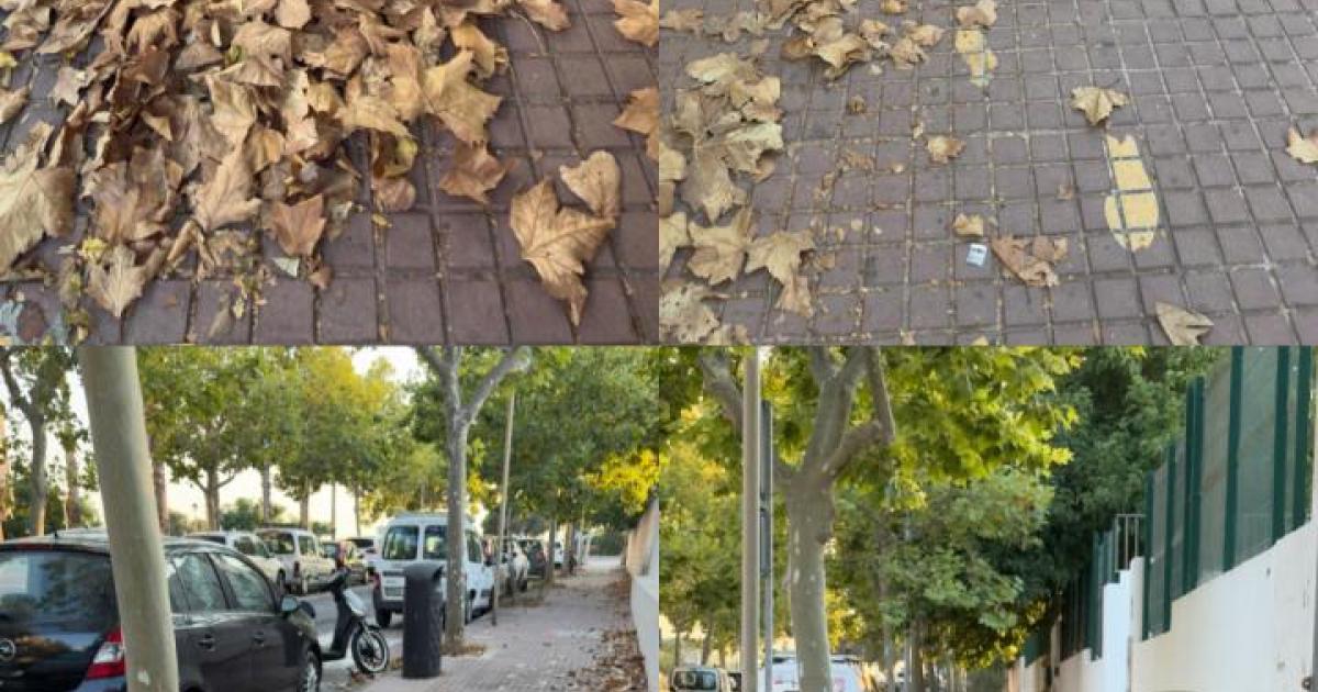 Si estando en verano las aceras se ven así, en Otoño no me lo quiero ni imaginar