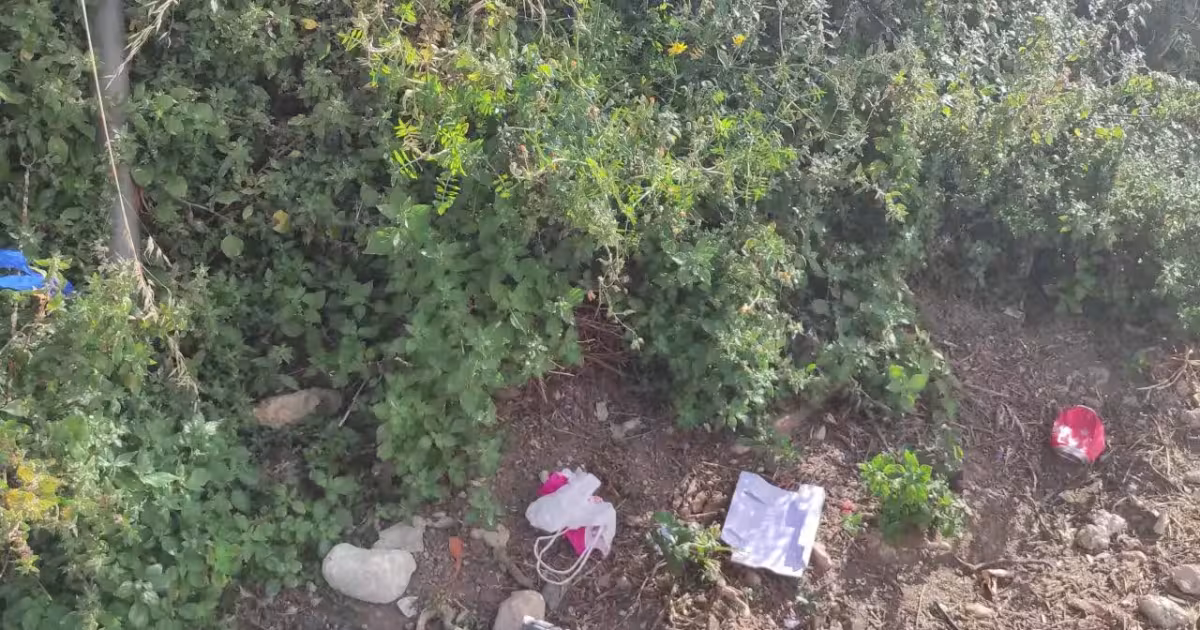 Nido de ratas en el parking de Catisa