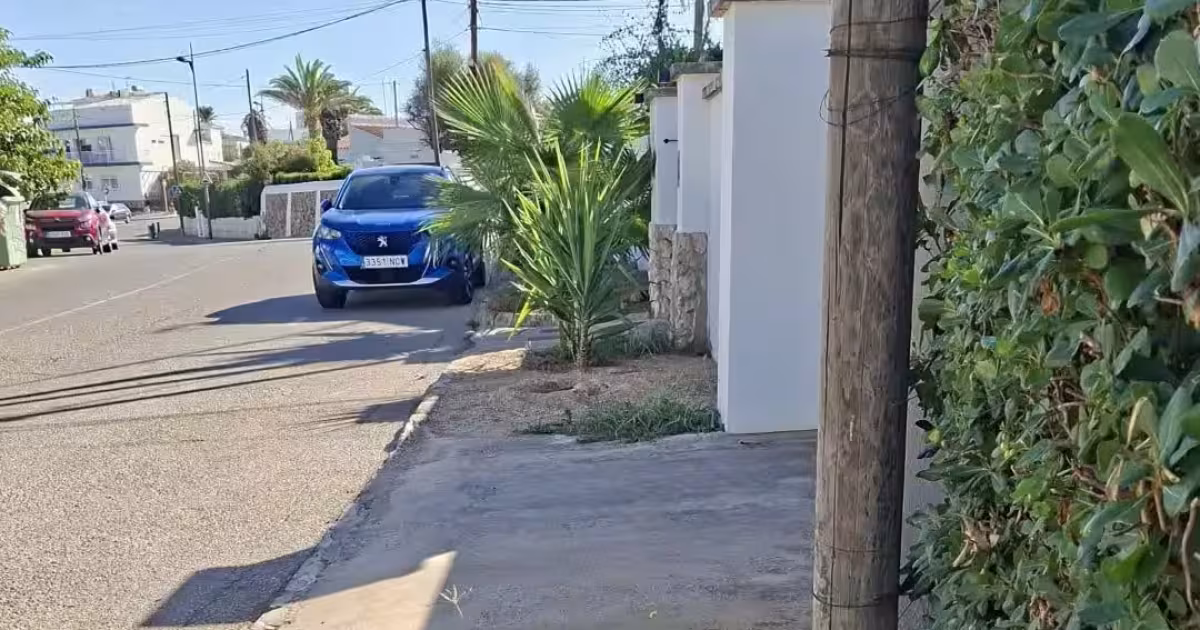 Plantas en la acera