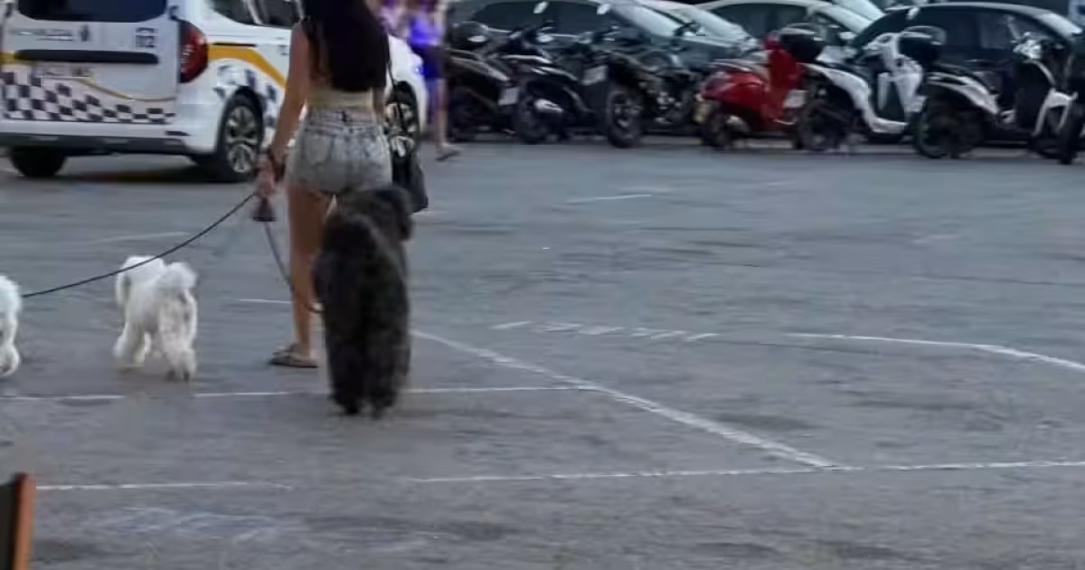 Seguimos sin entender nada