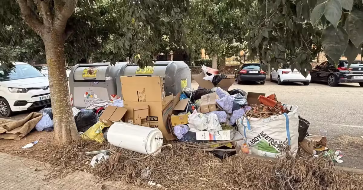 Basuras en Urbanización Puig de Ros