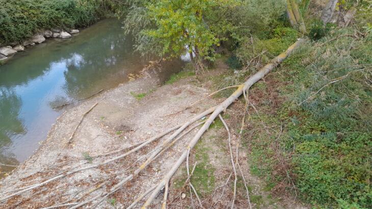 Antes de que sea tarde