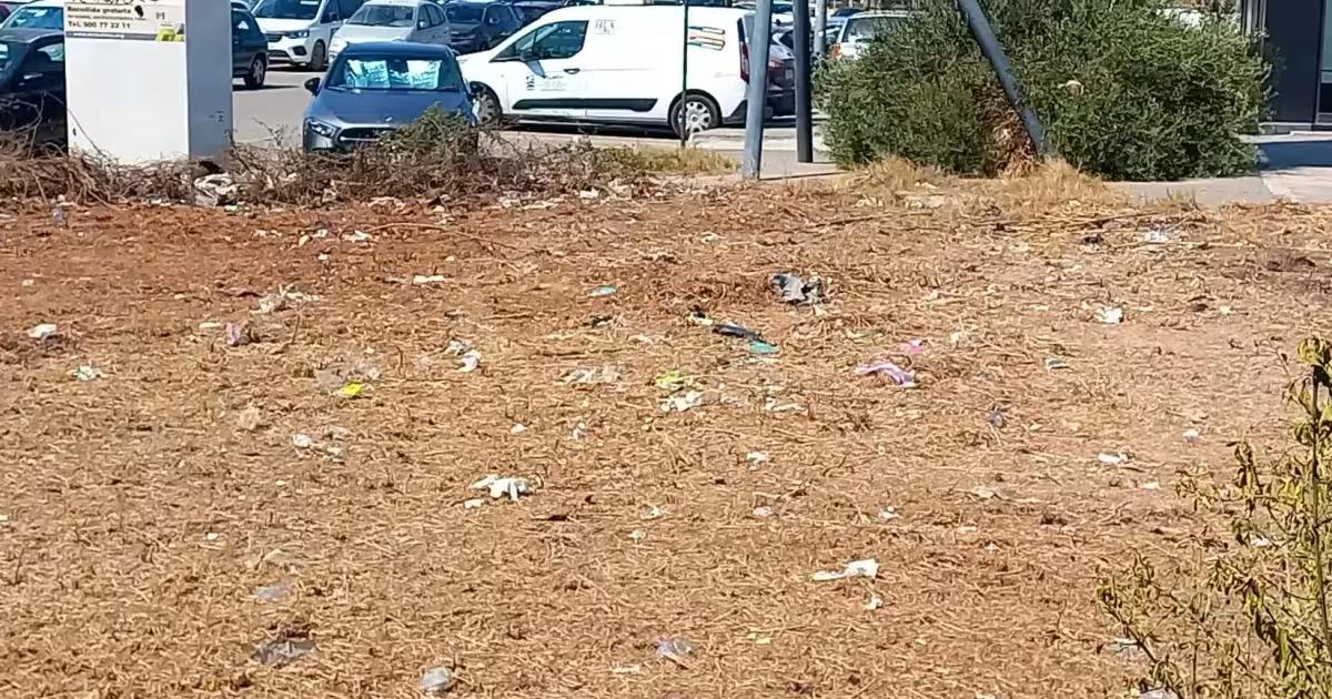 Porquería y ratas al lado puente peatonal de Cas Dominguets