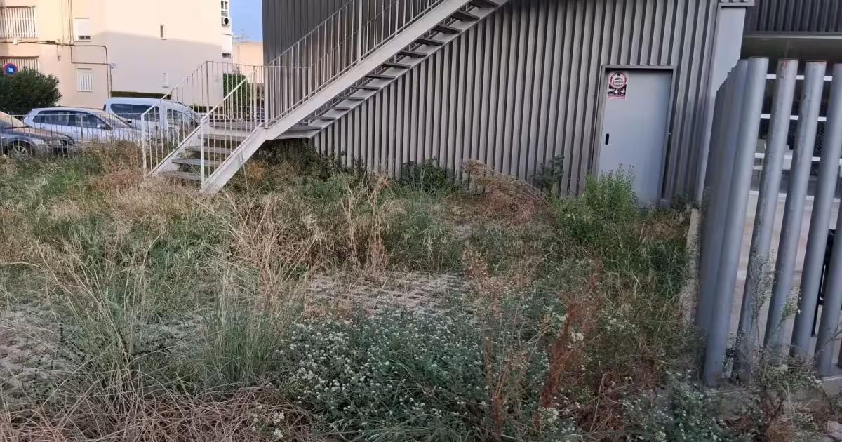 Selva en plena ciudad