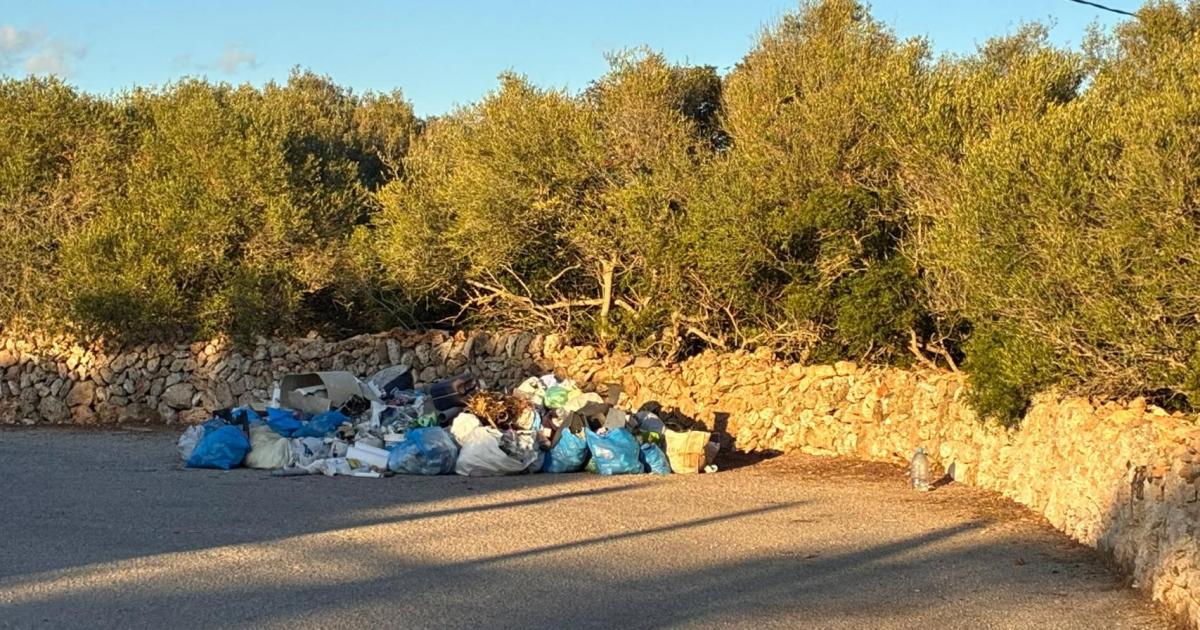 Descàrrega il·legal de fems al Camí de Torelló